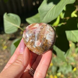 Petrified wood (7) Heart with stand | crystal